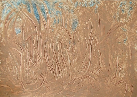 Weet forest..jpg